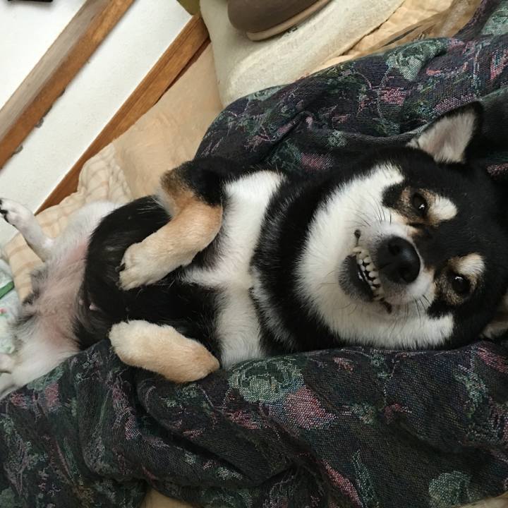 8cb890c3 71bd 4adb 9c9a 1d9fb38cc40a