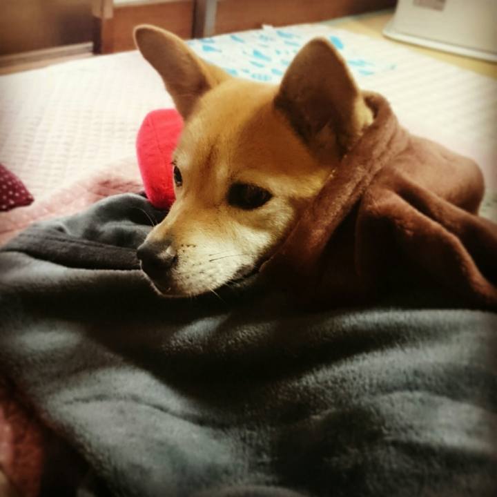 8cb8bf97 41f5 4f5b a777 790b06b21a35