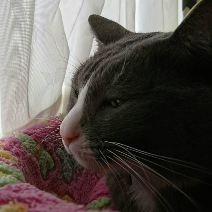 8cb93145 7784 49a2 946d 8a09e692587c