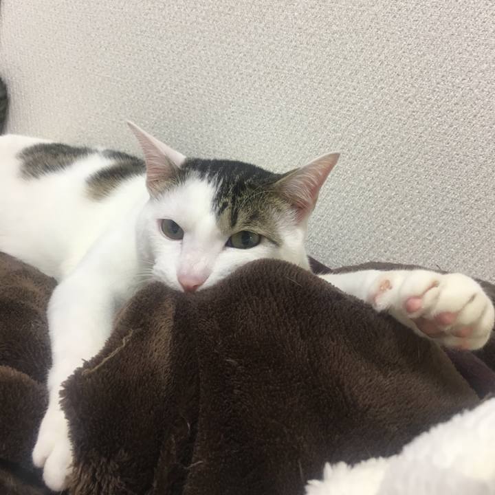 8cb9d7fc 3914 477e 8a2a 2156791a0e8b