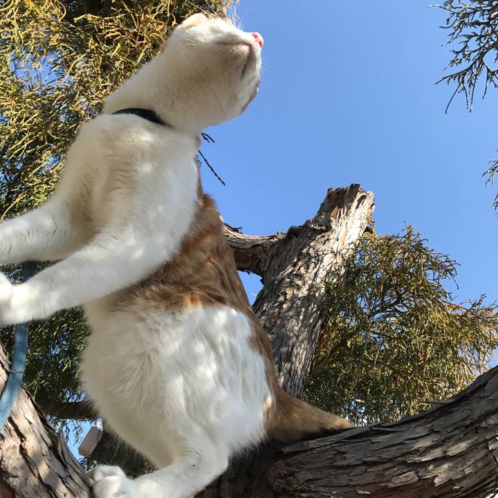 8cba5377 e299 4e6e 85ae 349b8a29d786