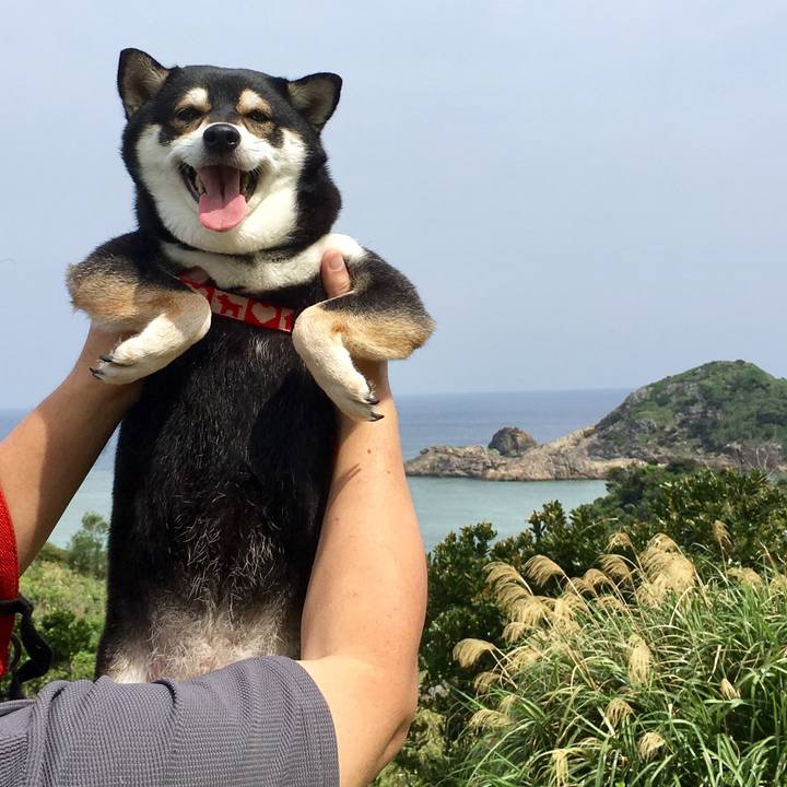 8cbaf335 db17 4a42 96a1 fa7f8baef78c