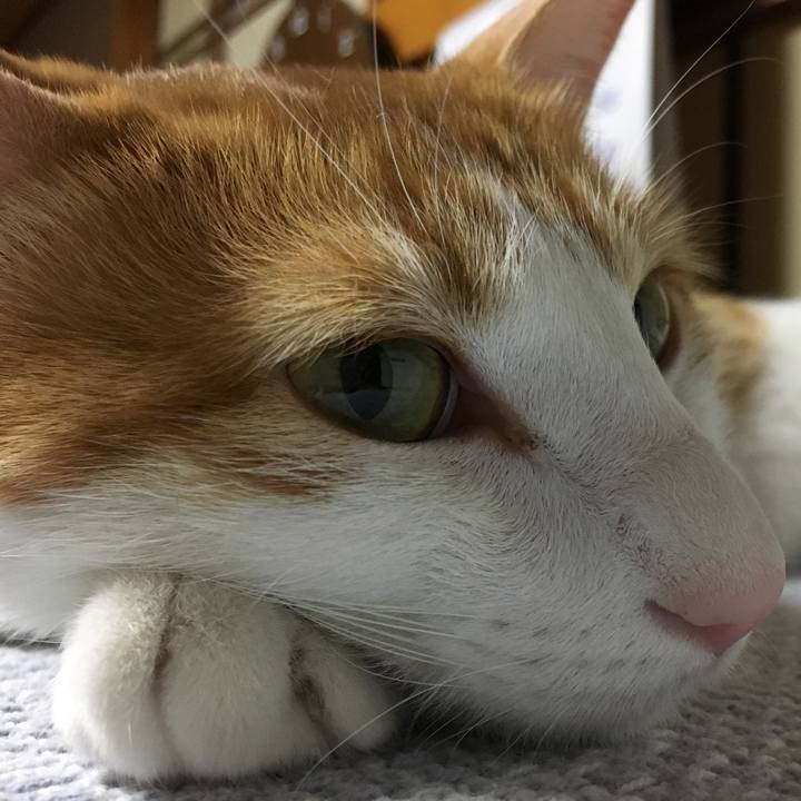 8cbb2e46 9e73 4b5f acb1 78f5eaf1b9ec