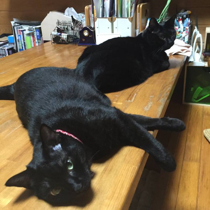 8cbb31c6 8b67 4c79 acf7 d740e6d72ee0