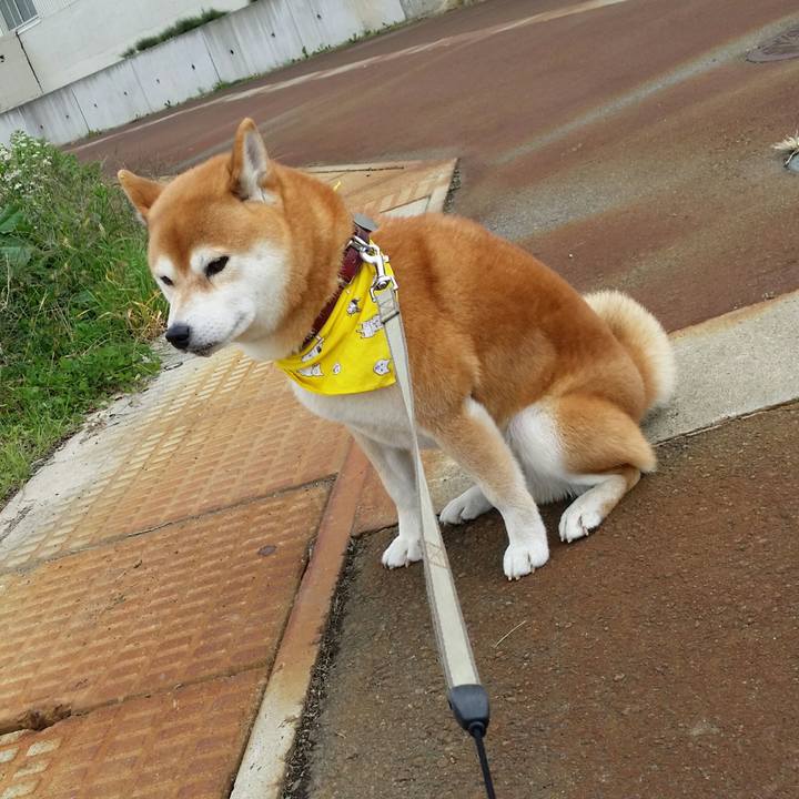 8cbbaf1a b4a1 45c9 ac60 41343e70301e