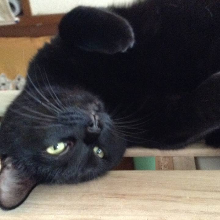 8cbc3ec8 3bc7 419b 95b1 6a57685c471d