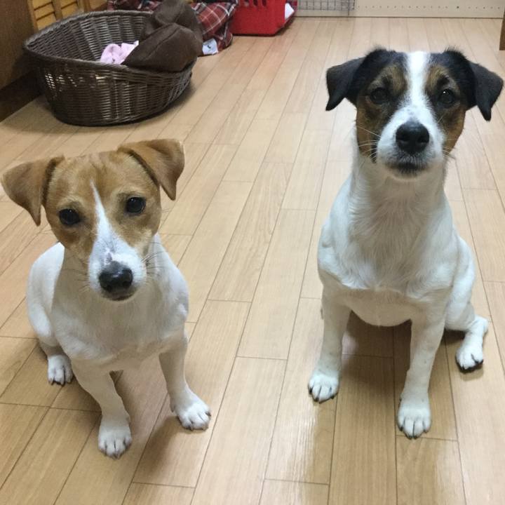 8cbc7793 8508 41ab 88e0 3ae0d7f79d85