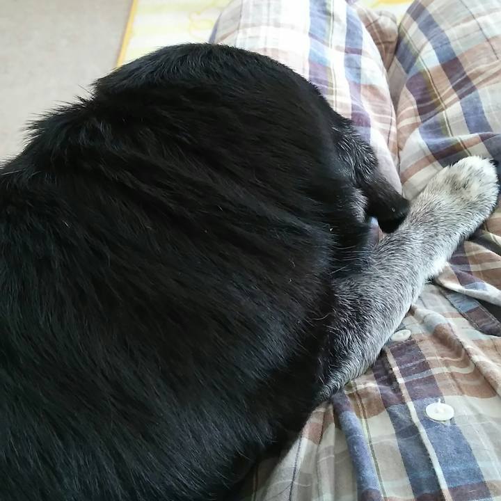 8cbd4694 bfb4 40b5 9d3b b13a9867ee6a