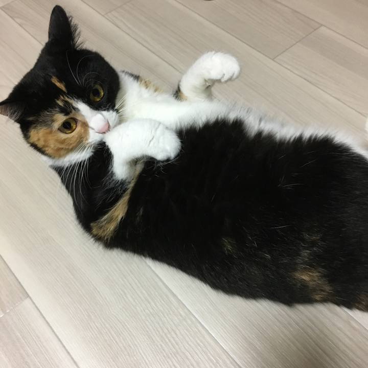 8cbdc910 2697 4479 9d4c c36f37bff24f