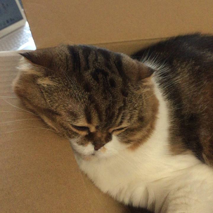 8cbdce02 bdaf 4a19 b2b2 957fe6a5fbbc