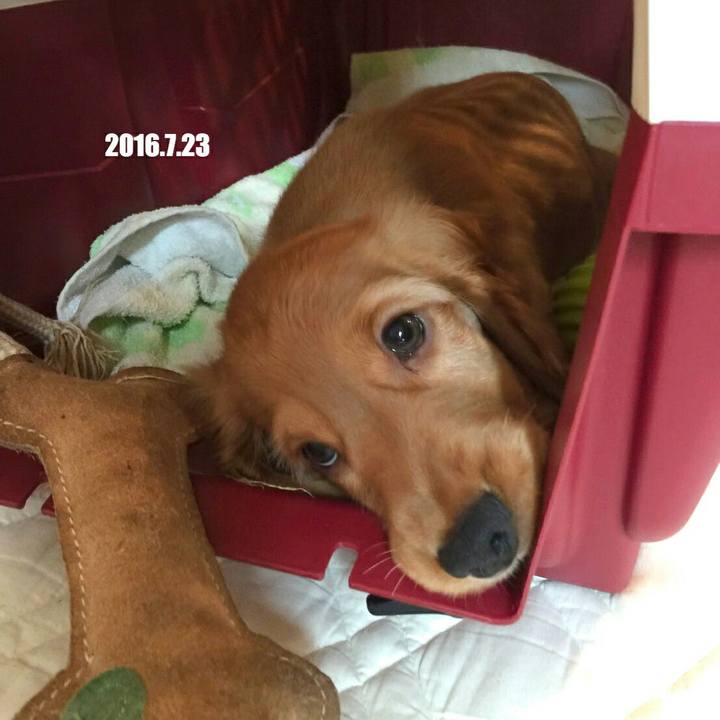 8cbdd8bf f4ae 4d2e 9695 9f86eabbefca