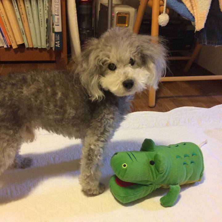 8cbe0a1c 66c3 4ae9 b1e0 1becb78b7271