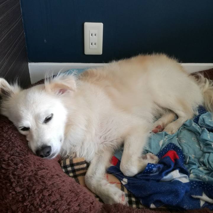 8cbe7f9c 94f4 4741 b31e 5c8af80c9f74