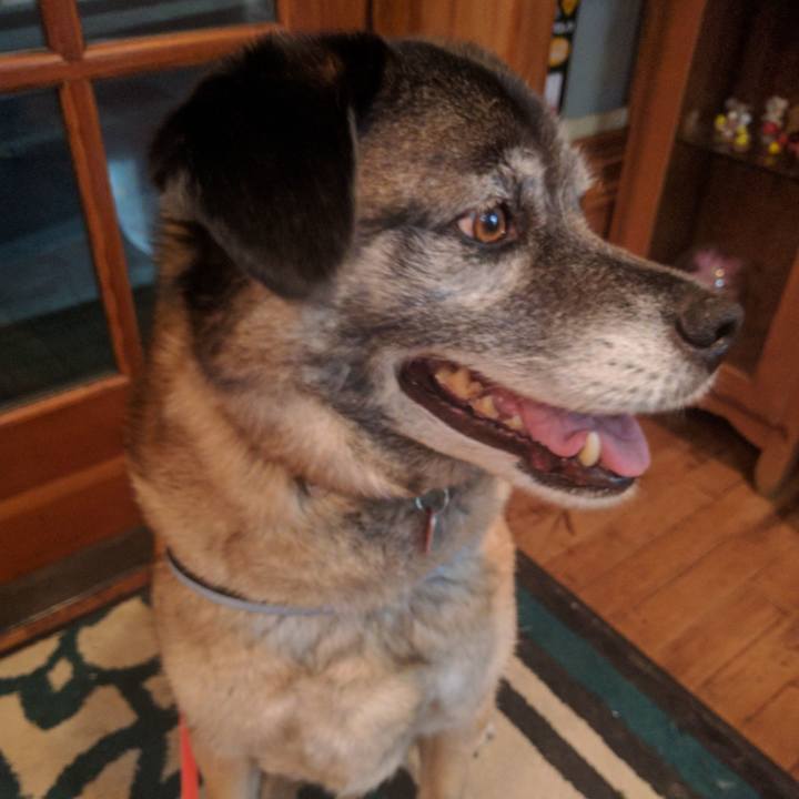 8cbeb70f ffc9 49b2 b89c 0c0d43f3b9e2