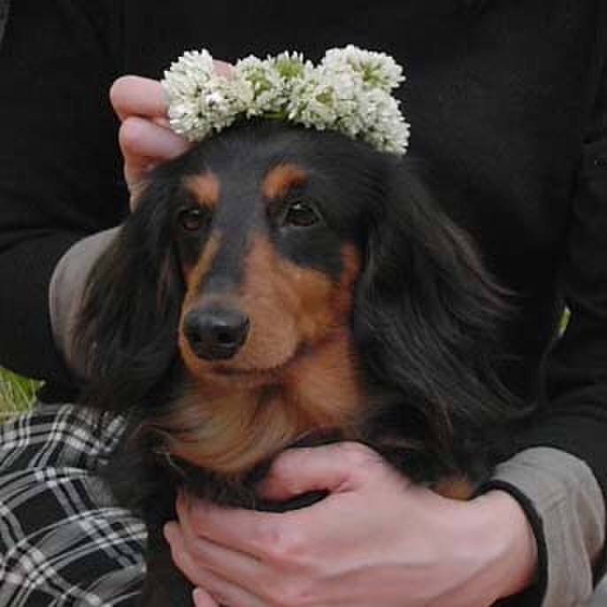 8cbec48e c620 400b 8b4a 5877e5bdd96e