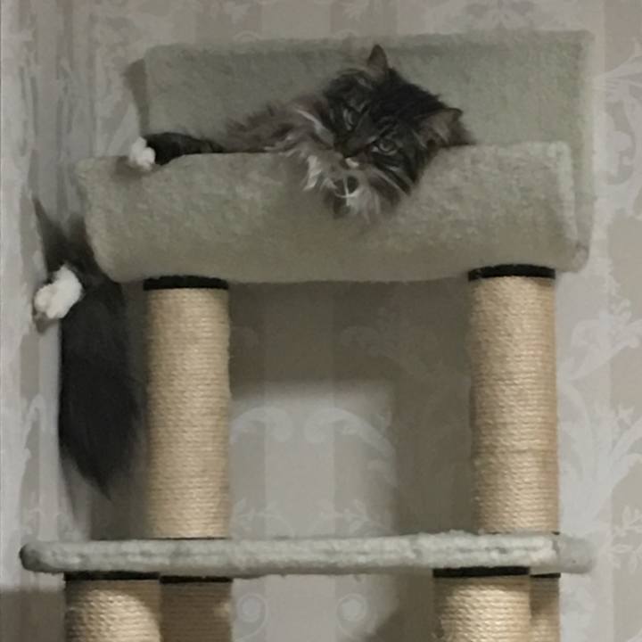 8cbf43f0 a715 4554 ace5 0fa8d83c995a