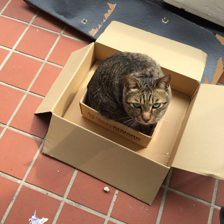 8cc16880 397a 40cc bf03 518bc1cf537f