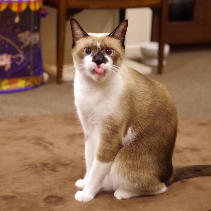 8cc1e408 a4dd 4aa5 808d 54256c258fdc