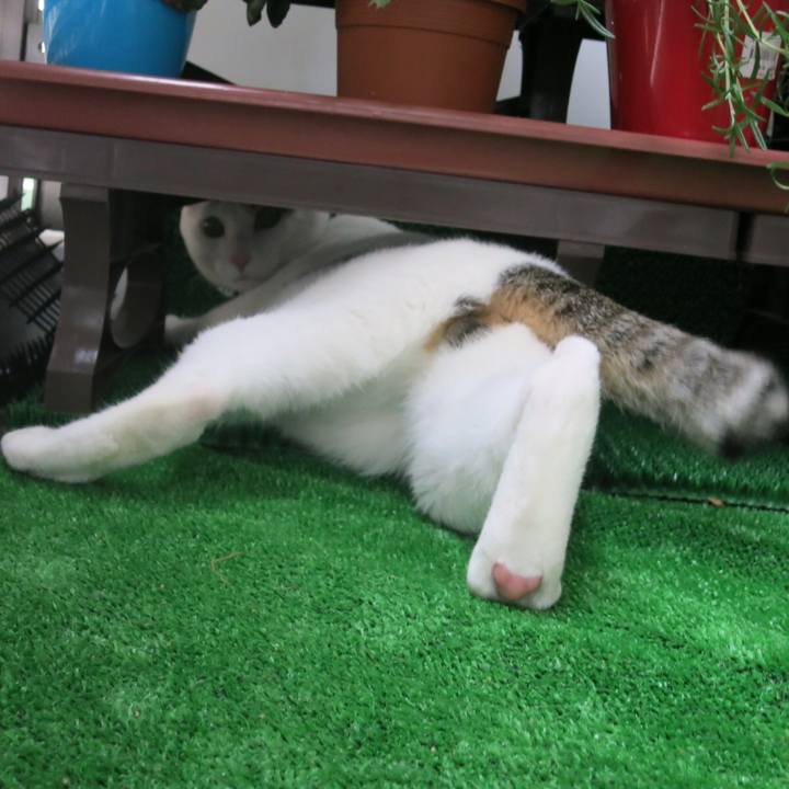 8cc21a2d e20e 4a01 95d6 217c872a8a26