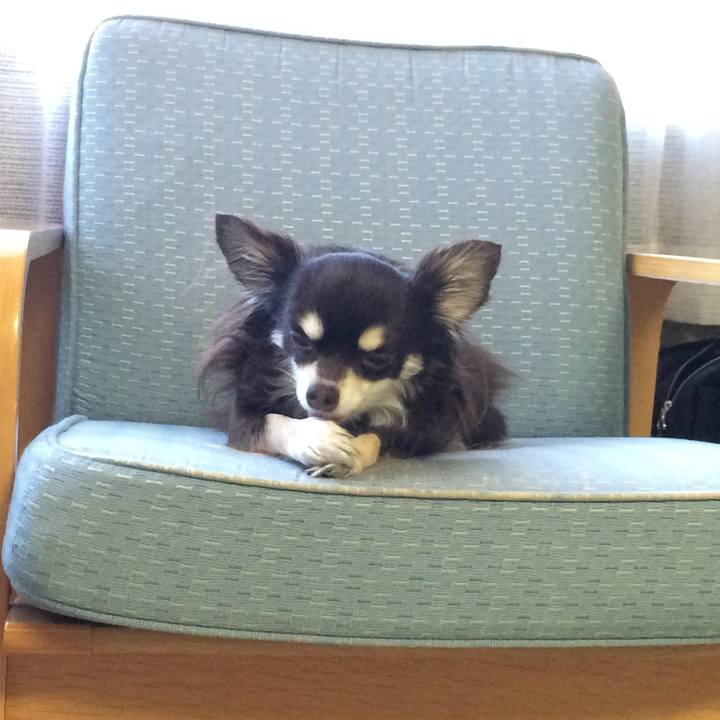 8cc23559 a391 4fcd 8ab0 2d0c76231b28