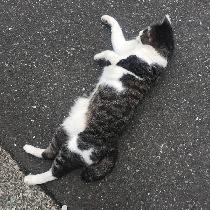 8cc24e7f b687 432c a3f1 b74748a3e6f8