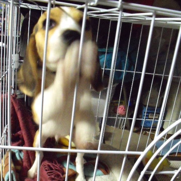 8cc2555d 6782 4ef7 87e3 58fa685ccd7a