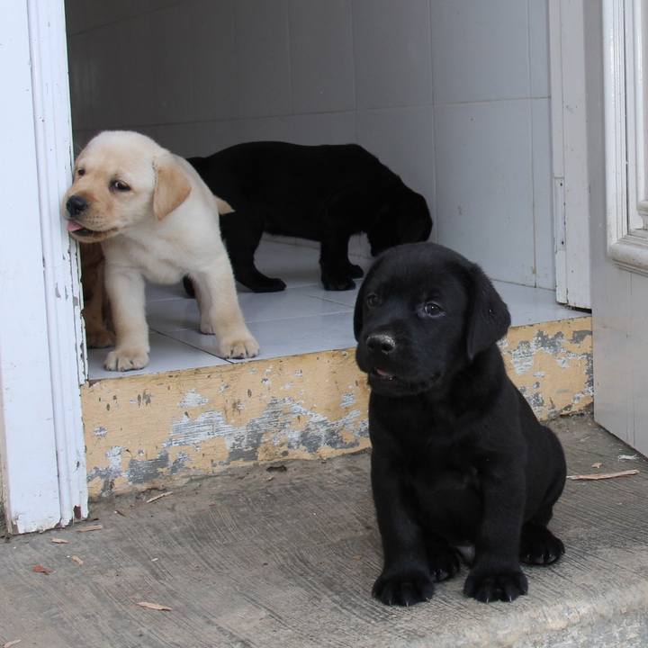 8cc41b37 c4de 48d0 a32a ff2a76d881dc