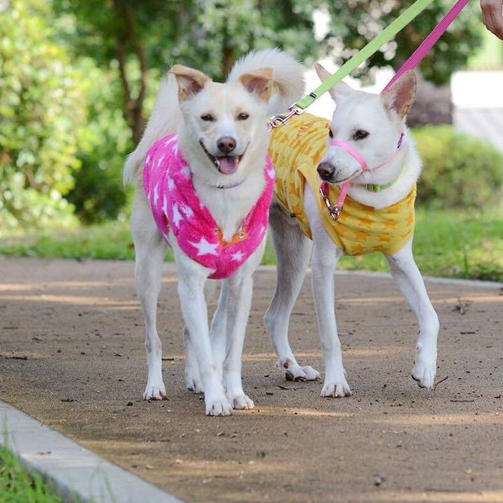 8cc5215b 6533 4722 bece eb72e54629fb