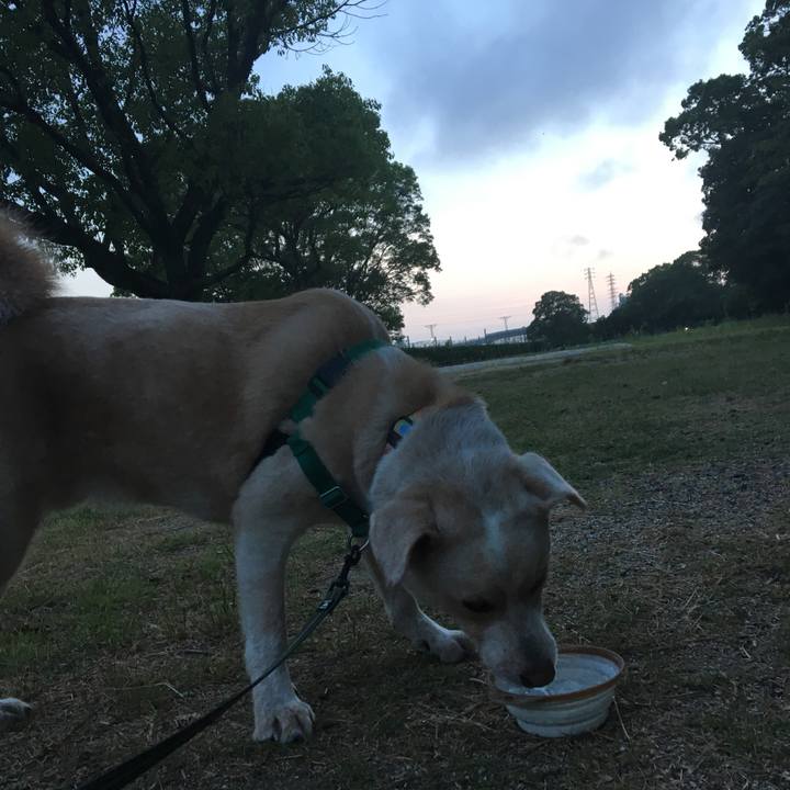 8cc6545b 88c3 46f1 907c d13960675fa2