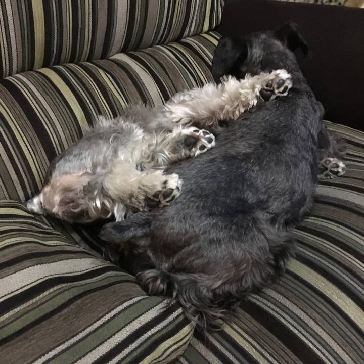 8cc6c174 def2 4bc4 863f d9bd66868cf3