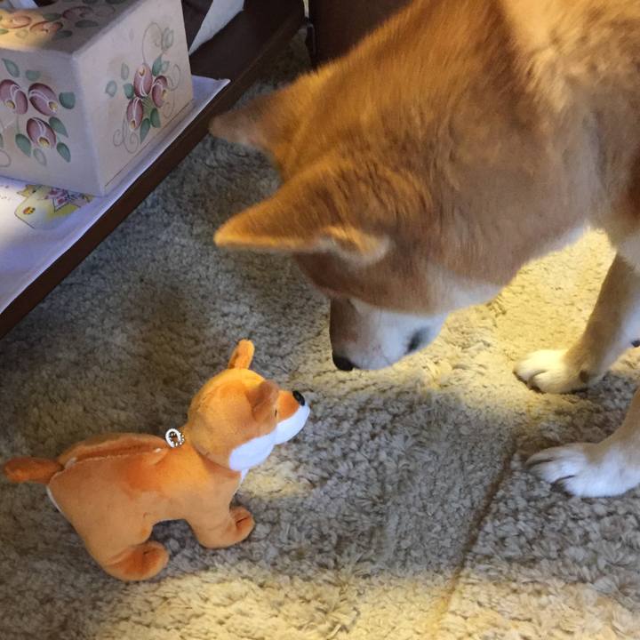 8cc73ef8 6c3f 435c bd88 4da2f68bac27