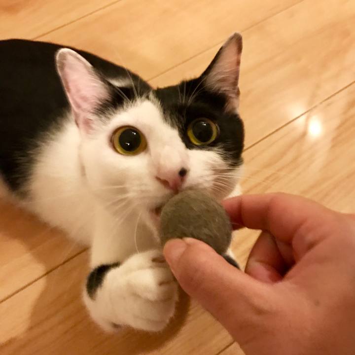 8cc7717e 9e48 4f8e 931c ebec3d98d316