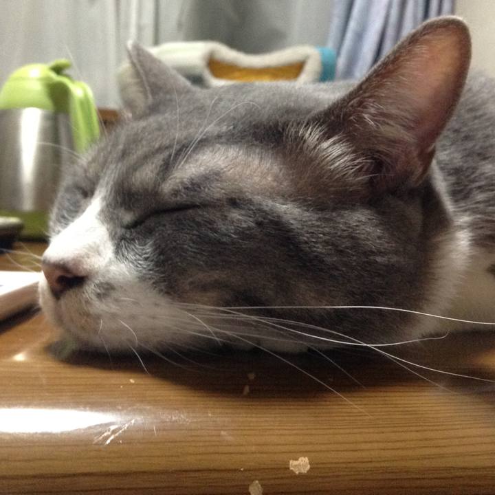 8cc89d8b d0db 4ecf 99b0 37fdc23eae91