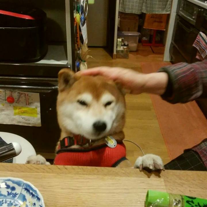 8cc8ba31 efe8 4da2 a51c 138ff0267b06