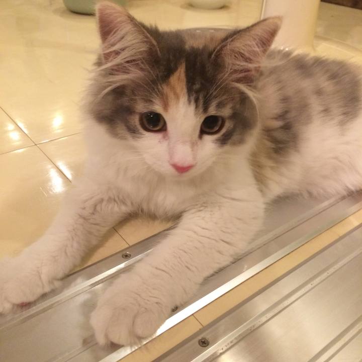 8cc959f7 b9cf 45ba aeab 2f2daa19899d