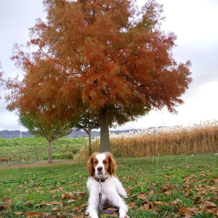 8cc979ea 62ca 4df8 a783 5c2b7aca421e