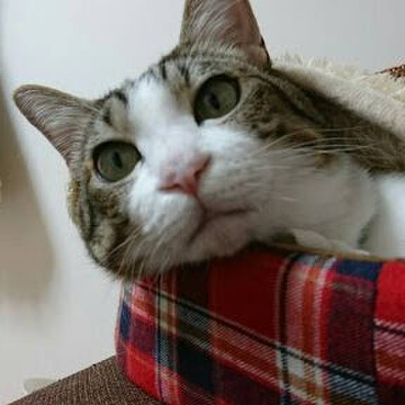 8cc9a092 7adc 43a5 a98d 5f53d75bb007