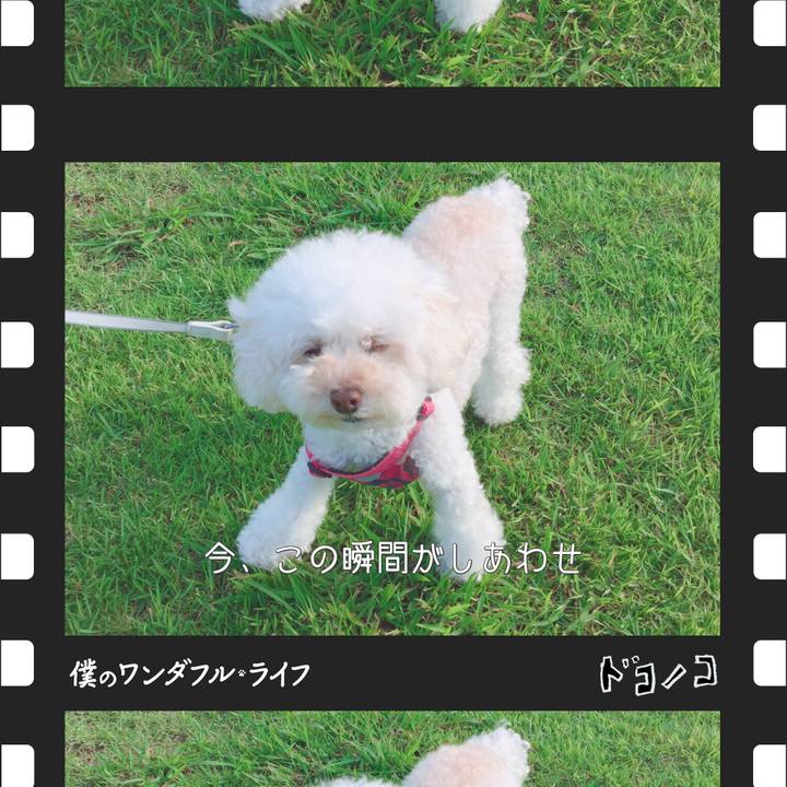 8cc9a1db 9115 437b a325 b614c20f444c