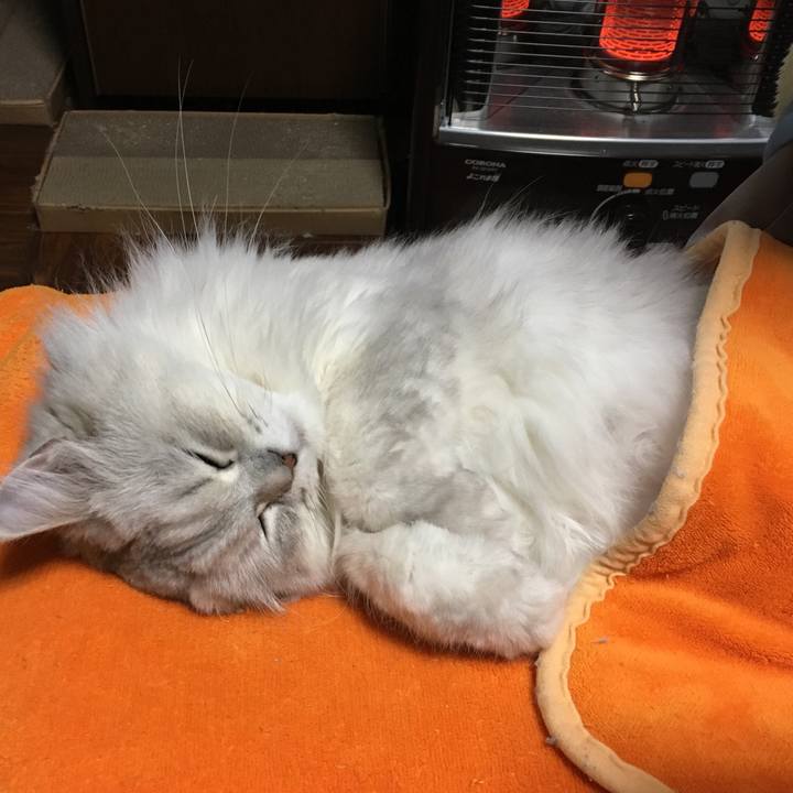 8cca52ce 0650 490b aecb 0367375e35e7