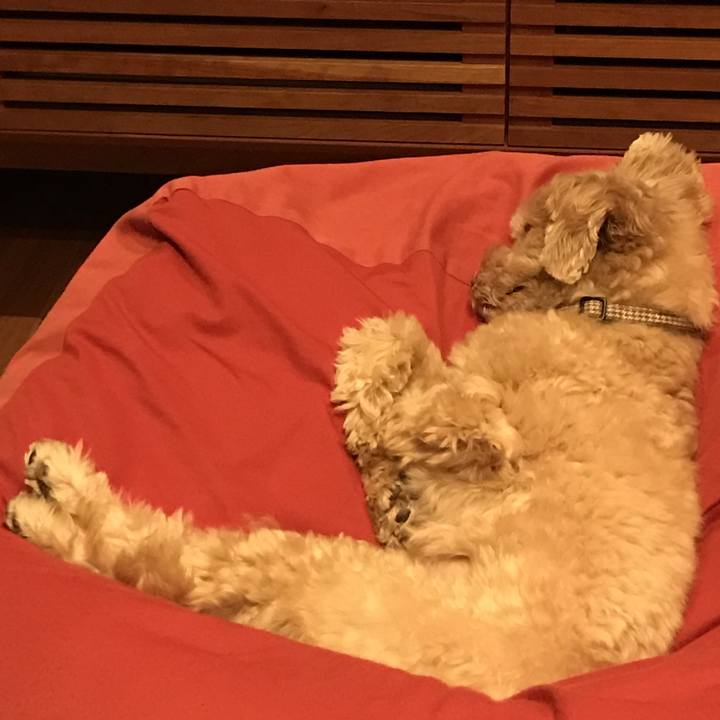 8cca6ffe a1c4 4bd9 8006 13099cc0e126