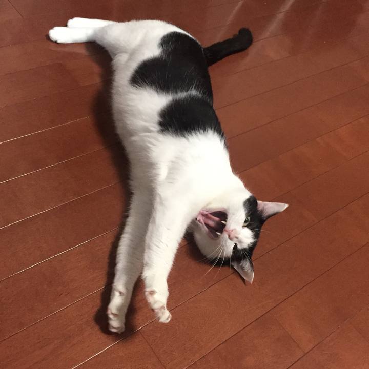 8ccadd64 362f 41b5 8786 1af207c212fb