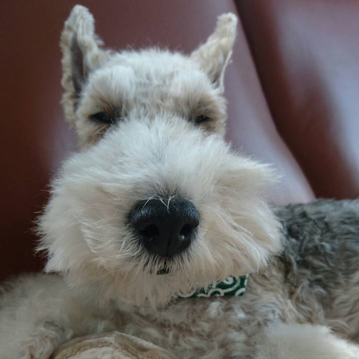 8ccaf1d9 5f1e 4463 ad6a e1c5608161d5