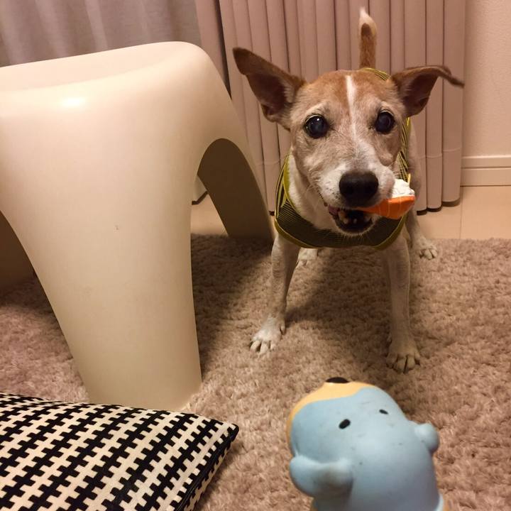 8ccc0f22 9a53 4a5e a915 0506f983be24