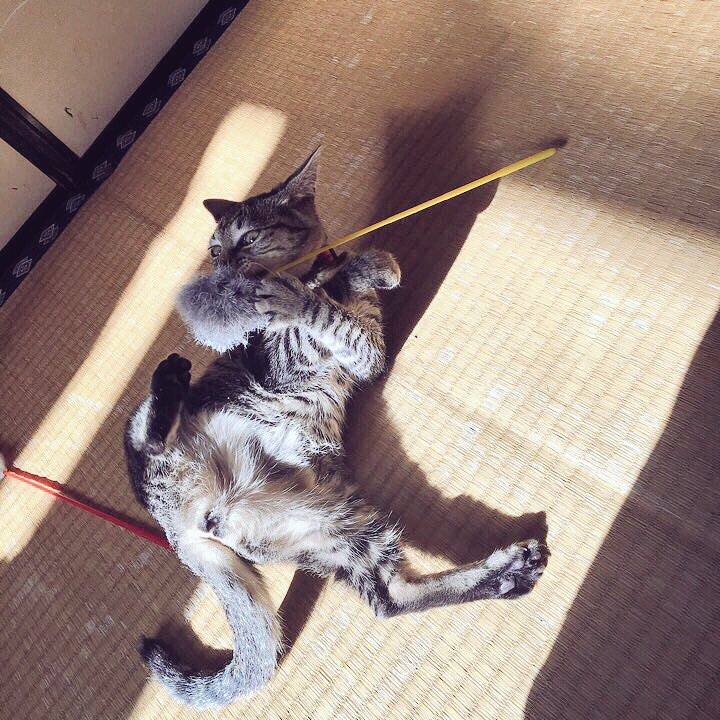 8ccc12f2 376f 4b96 b3e1 7c6318ee07ac