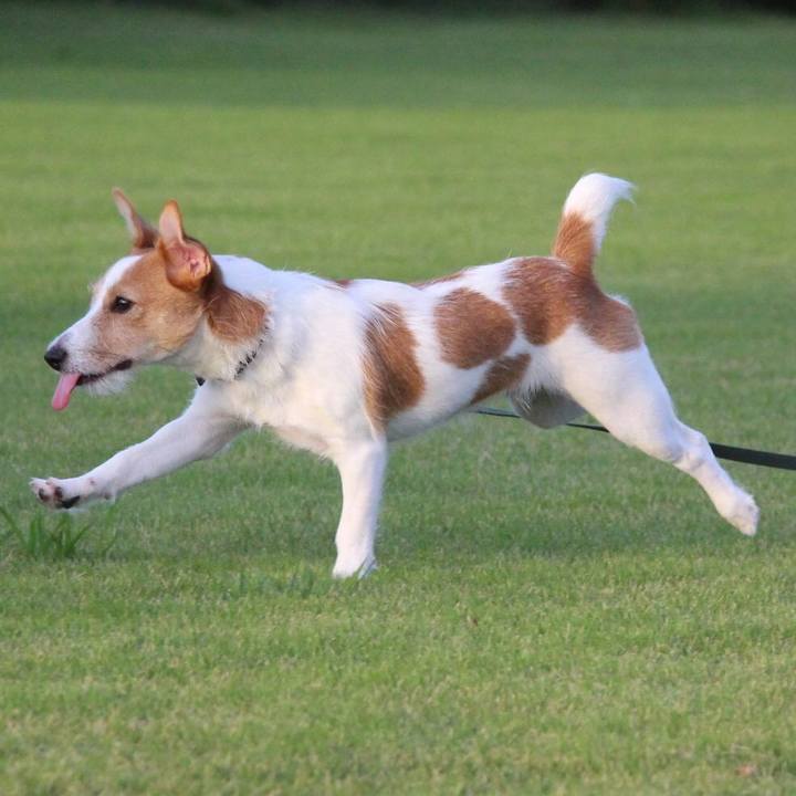 8ccc4f25 d044 4d51 ad84 5b9108c1c96d