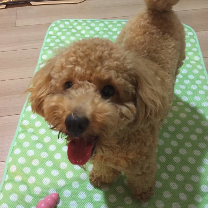 8cce8f99 c307 4f3c 868d 16bafca2bf07