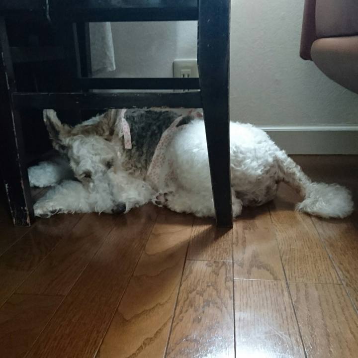 8cce9bdb be5c 4df1 9ba6 03cc8ef3f750