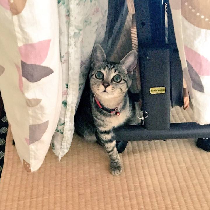 8ccea361 2aa2 493b 9322 dc7651408d9f