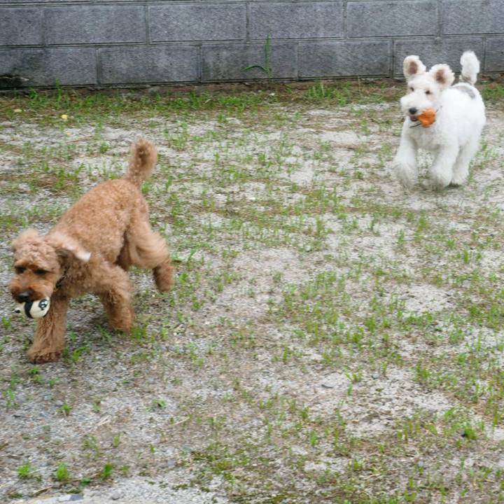 8ccf7d41 be8d 4be0 851d 28066408f871