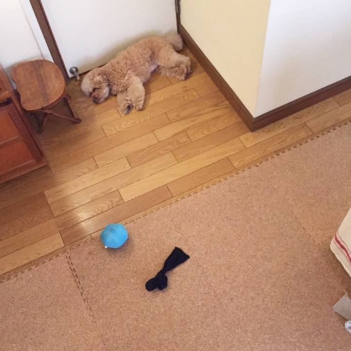 8ccfe701 ba4e 40be ba1f fdee1d88d21e